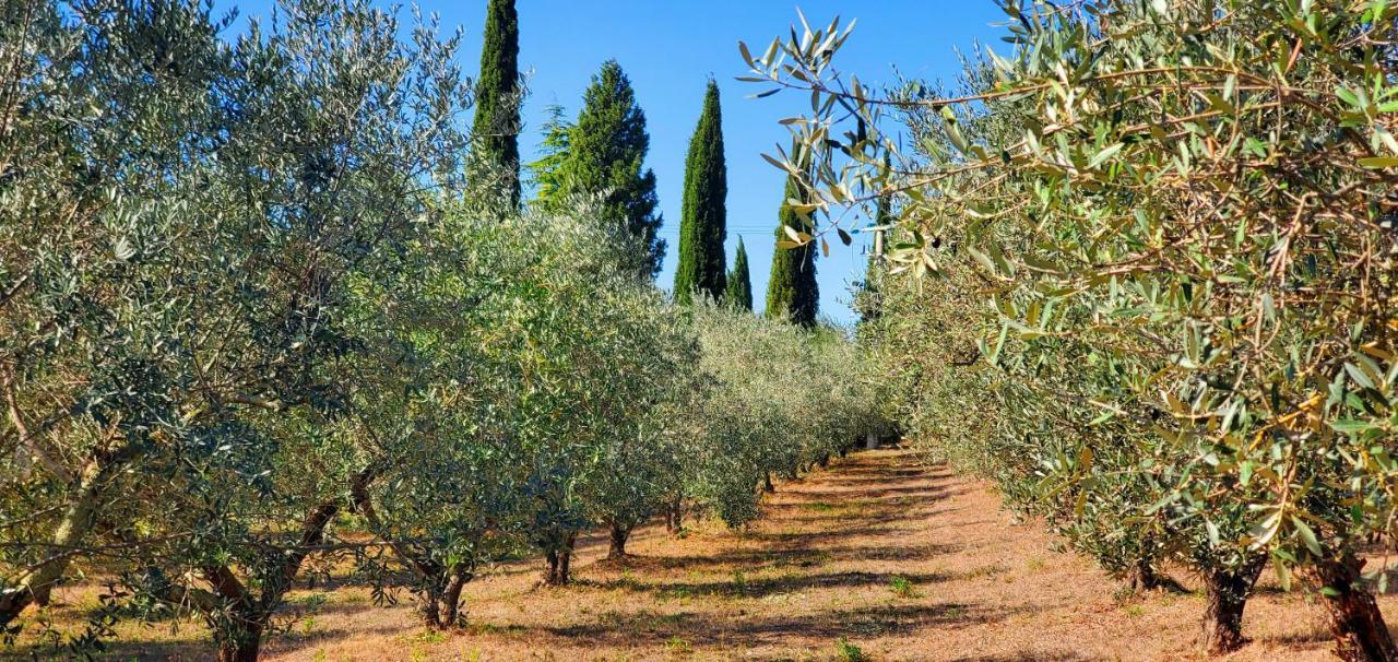 Villa La Volpaia 1521 à Barberino di Val dʼElsa Extérieur photo